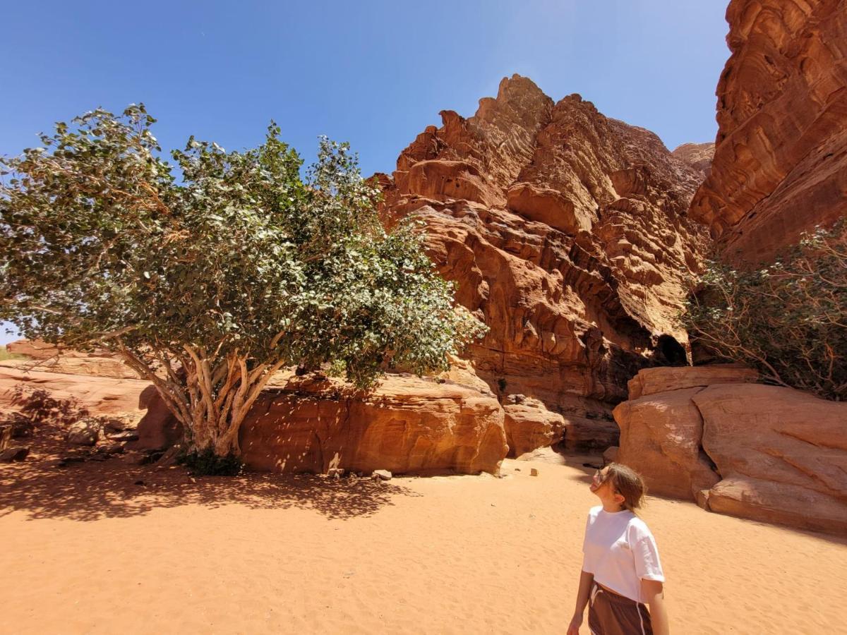 Moon City Camp Wadi Rum Exteriér fotografie